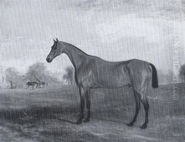 'wolverhampton', A Chesnut Racehorse, In A Landscape At Badsworth Hall Oil Painting by John Ferneley Jr.