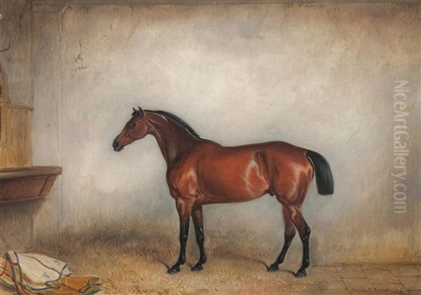 A Bay Horse In Stable Oil Painting by Claude Lorraine Ferneley