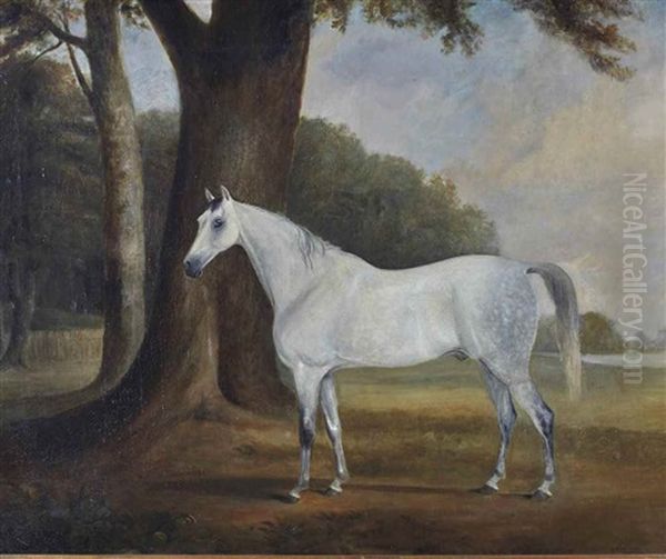 Cheval Gris Pommele Dans Un Paysage Oil Painting by Claude Lorraine Ferneley