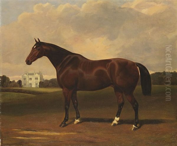 Portrat Eines Reitpferdes Oil Painting by Claude Lorraine Ferneley