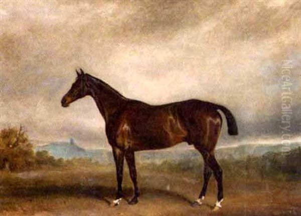 Bay Horse In A Landscape Oil Painting by Claude Lorraine Ferneley