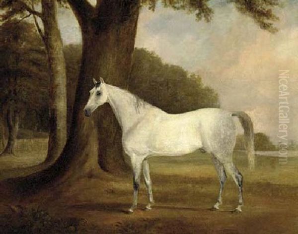 A Dappled Grey In A Landscape Oil Painting by Claude Lorraine Ferneley