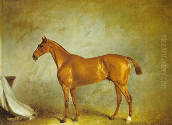 Caballo Oil Painting by Claude Lorraine Ferneley