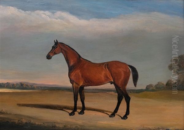 Portrait Of A Bay Horse In Melton Mowbray Landscape, 1835 Oil Painting by John E. Ferneley