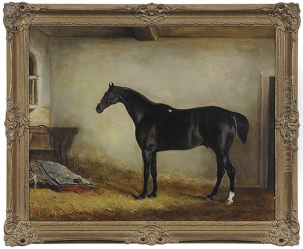 Dark Bay Hunter In A Loose Box Oil Painting by John E. Ferneley