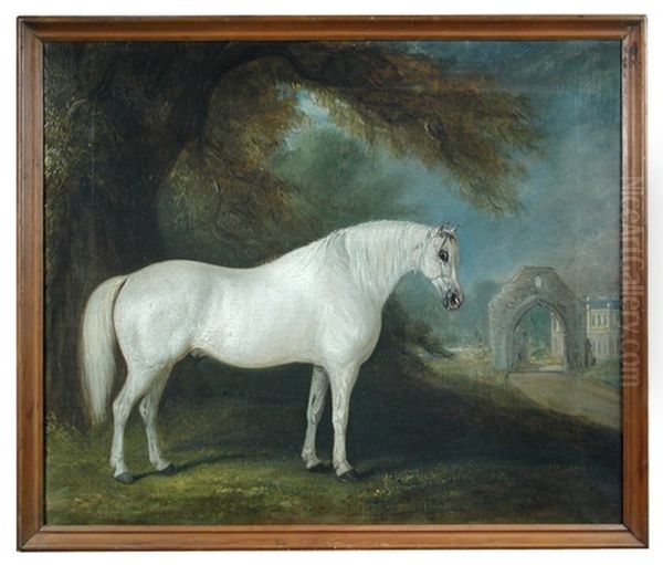 A Grey Arab Stallion At Hartforth Hall, North Yorkshire Oil Painting by John E. Ferneley