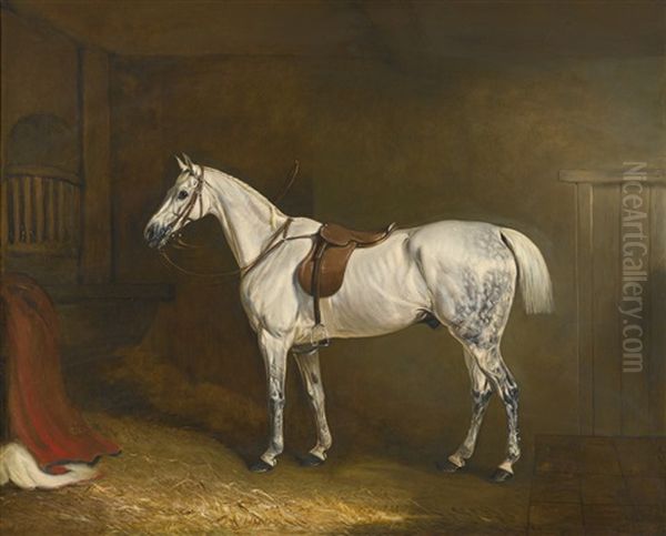 A Saddled Grey Hunter In A Loose Box by John E. Ferneley