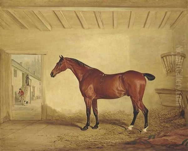 The Bay Hunter Draper, In A Stable Oil Painting by John E. Ferneley