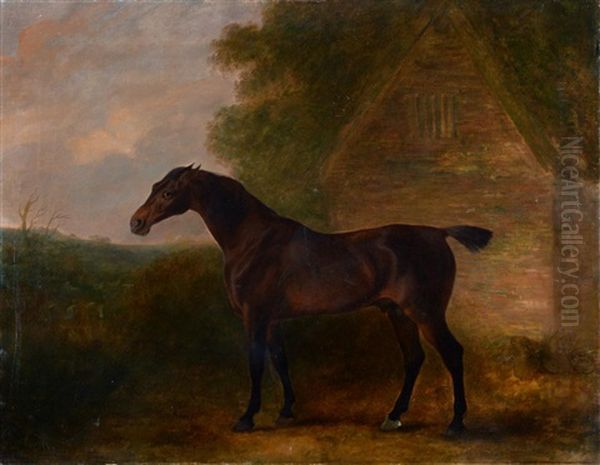 Thalaba - A Bay Hunter By A Stable Oil Painting by John E. Ferneley