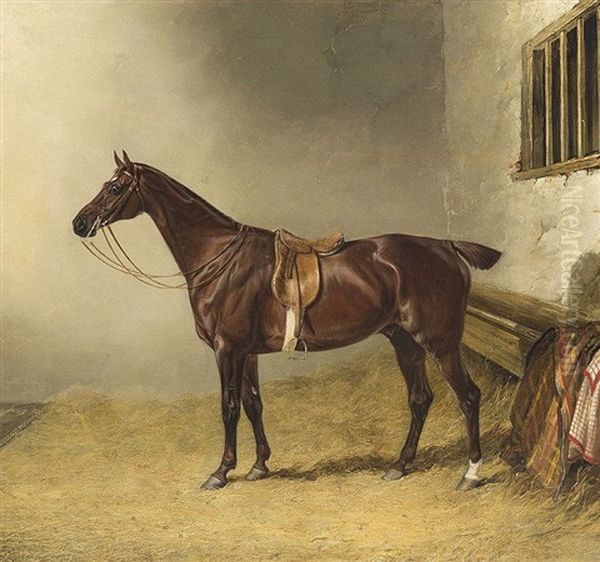 Study Of A Saddled Chestnut Hunter In A Stable, Mr. Ralph Lambton's Shuttlecock Oil Painting by John E. Ferneley