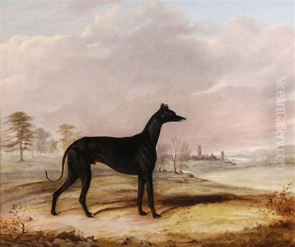 Kent, A Coursing Greyhound, In An Extensive Landscape Oil Painting by John E. Ferneley