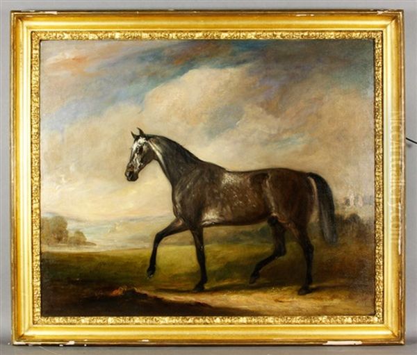 Portrait Of A Horse Oil Painting by John E. Ferneley