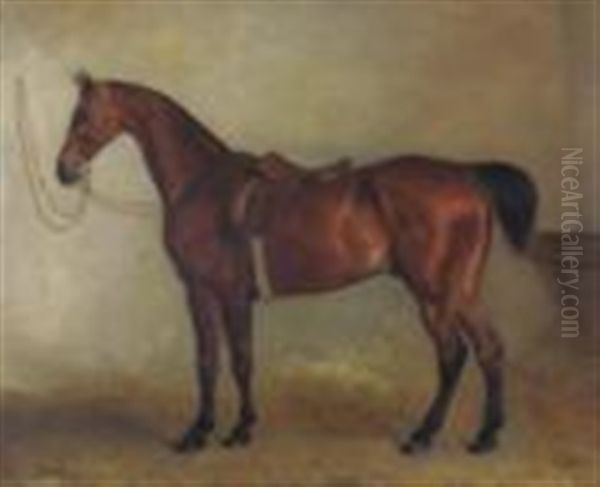 The Hunter Escape In A Loosebox Oil Painting by John E. Ferneley