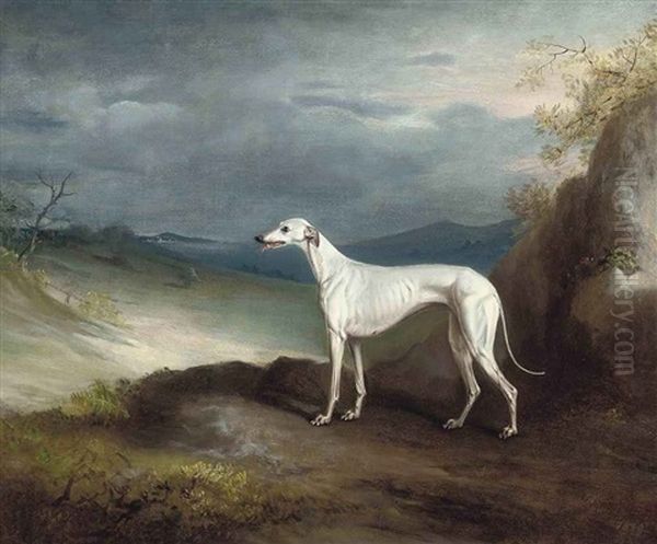 Snowstorm, A Greyhound, In An Extensive Landscape by John E. Ferneley