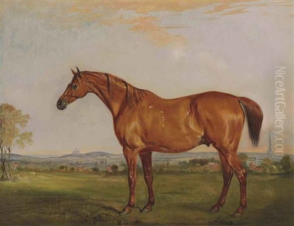 Shamrock, The Chestnut Hunter Of The Rev. Charles Thornton, Belvoir Castle In The Distance Oil Painting by John E. Ferneley