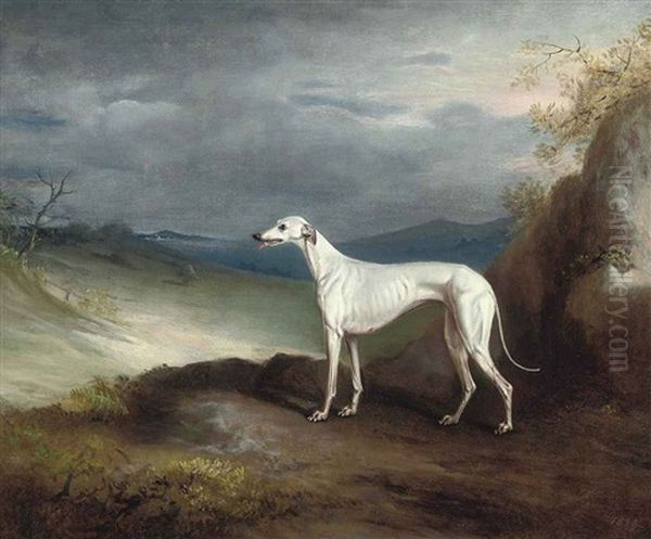 Snowstorm, A Greyhound, In An Extensive Landscape Oil Painting by John E. Ferneley