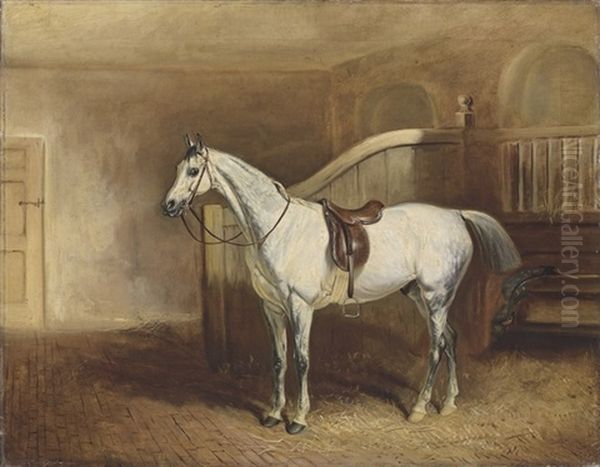 Lord Rancliffe's Grey Hunter, In A Loosebox Oil Painting by John E. Ferneley