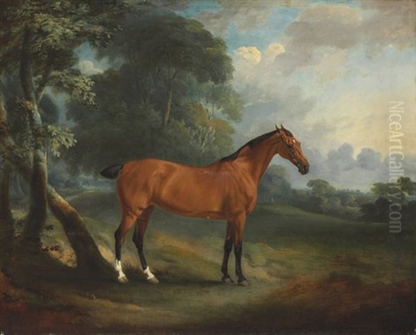 A Bay Hunter In A Wooded Landscape Oil Painting by John E. Ferneley