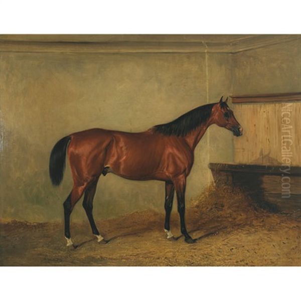 "melton Mowbray," A Bay Hunter In A Stable, The Property Of Henry George Herbert Oil Painting by John E. Ferneley