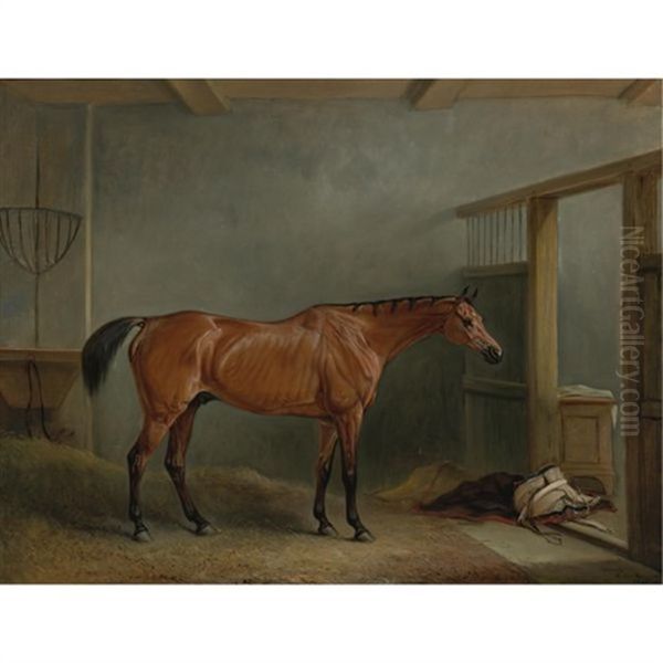 The Shaver, A Favorite Hunter Of Mr. Sterling Crawford Oil Painting by John E. Ferneley