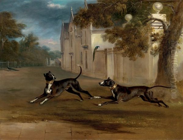 Earl Brownlow's Two Bull Terriers Nelson And Argo, Running In The Grounds Of A Country House, Belton House (?) Oil Painting by John E. Ferneley