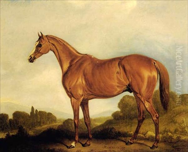 A Portrait Of The Racehorse Harkaway, The Winner Of The 1838 Goodwood Cup Oil Painting by John E. Ferneley