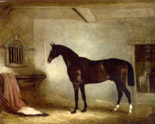 Mr. W. Everard's Dark Bay Hunter In A Loose-box Oil Painting by John E. Ferneley