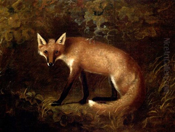 A Fox In Shrubbery Oil Painting by John E. Ferneley