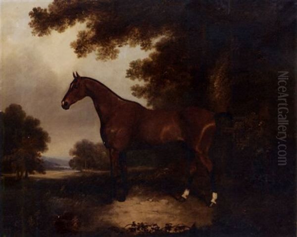 A Bay Hunter In A Wooded Landscape Oil Painting by John E. Ferneley