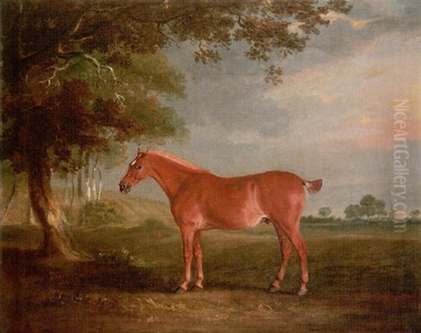 A Chestnut Cob In A Landscape, With Melton Mowbray Church Beyond Oil Painting by John E. Ferneley