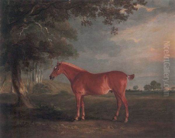 A Chestnut Cob In A Landscape, With Melton Mowbray Church Beyond Oil Painting by John E. Ferneley