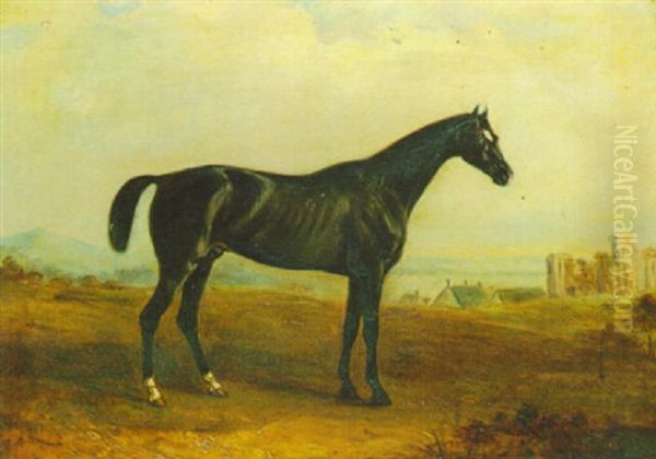 A Dark Brown Horse In A Landscape Oil Painting by John E. Ferneley