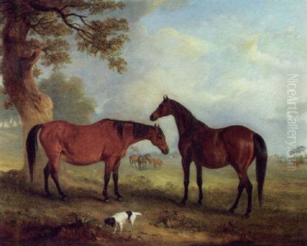 Brood Mares At Grass Oil Painting by John E. Ferneley