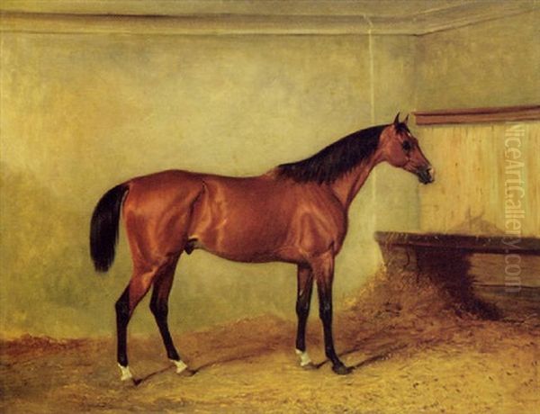 A Bay Hunter In A Stable, The Property Of Henry George Herbert, 7th Earl Of Carnarvon Oil Painting by John E. Ferneley