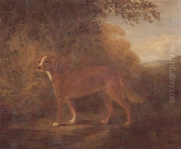 Red And White Setter In Landscape Oil Painting by John E. Ferneley