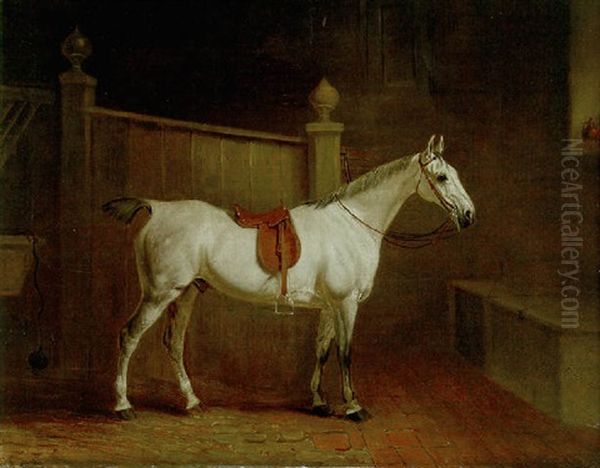 A Saddled Grey Hunter In A Stable Oil Painting by John E. Ferneley