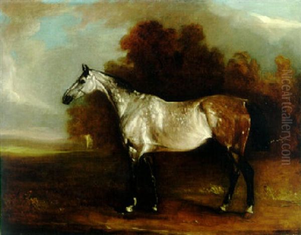 A Grey Horse In A Landscape Oil Painting by John E. Ferneley