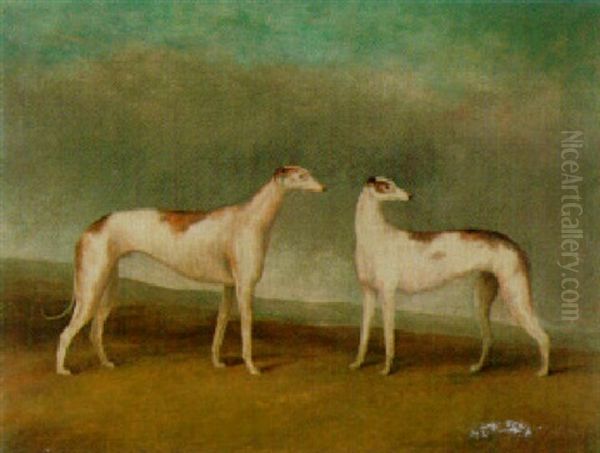 Two Greyhounds Oil Painting by John E. Ferneley