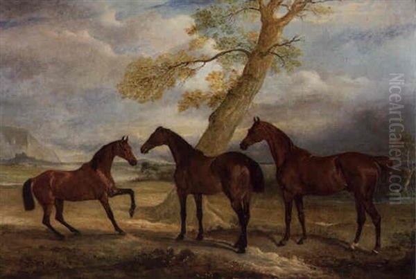 Three Of Lord Rokeby's Hunters At Grass Oil Painting by John E. Ferneley