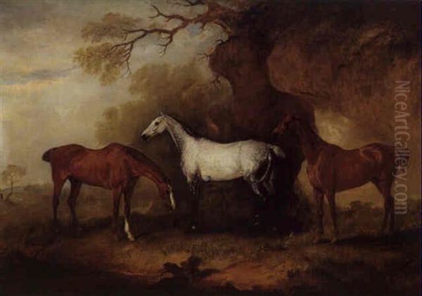 Three Hunters Belonging To Robert Myddelton-biddulp Oil Painting by John E. Ferneley