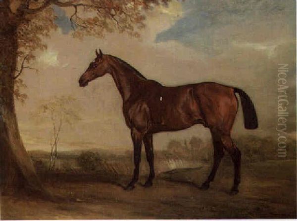 A Hunter Mare Oil Painting by John E. Ferneley