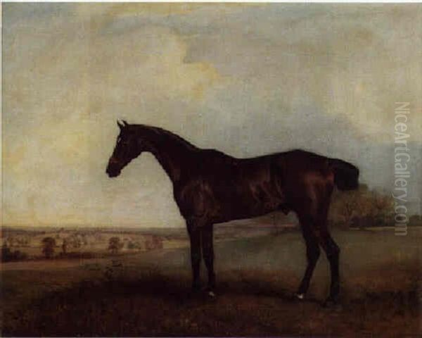 A Hunter In An Extensive Landscape Oil Painting by John E. Ferneley