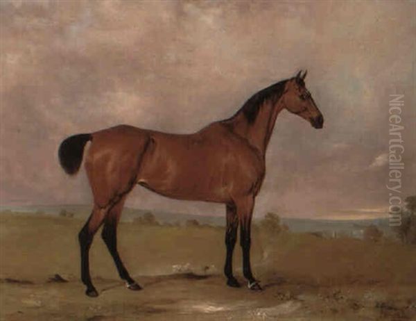 A Bay Hunter In An Extensive Landscape Oil Painting by John E. Ferneley