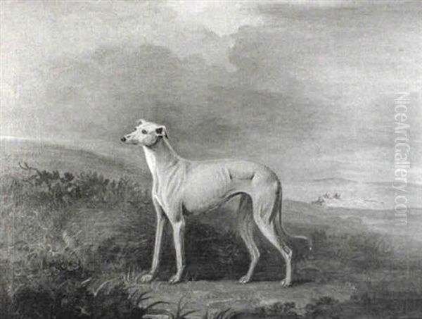 A Greyhound In A Landscape Oil Painting by John E. Ferneley