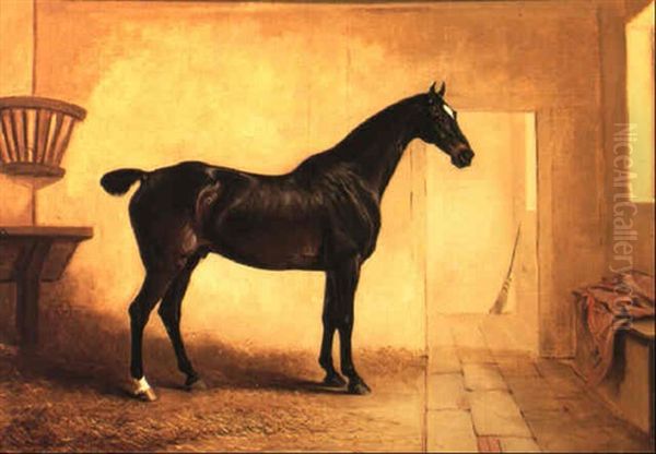 'harlequin', A Dark Bay Hunter In A Stable Oil Painting by John E. Ferneley