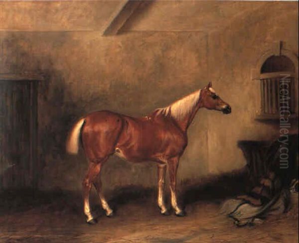 Mr. Hall's 'felony' In A Loose Box Oil Painting by John E. Ferneley