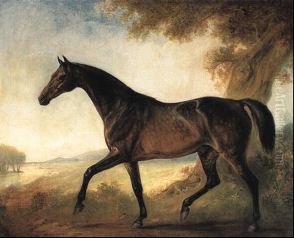 Dappled Bay Stallion In Wooded River Landscape Oil Painting by John E. Ferneley