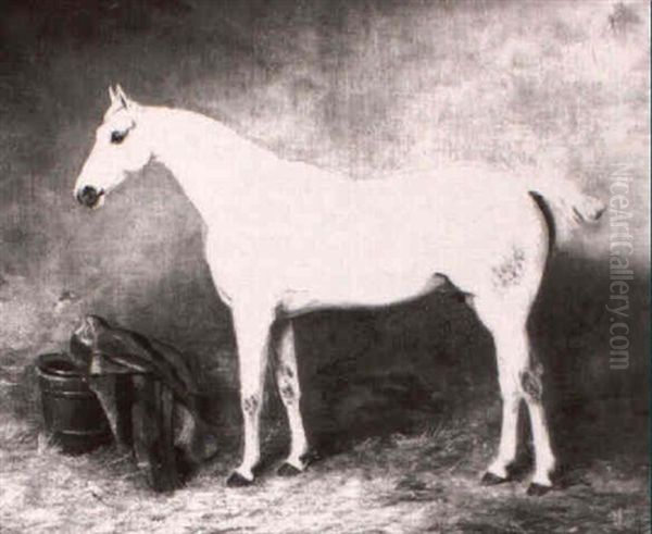 A Grey Hunter In A Loose Box Oil Painting by John E. Ferneley