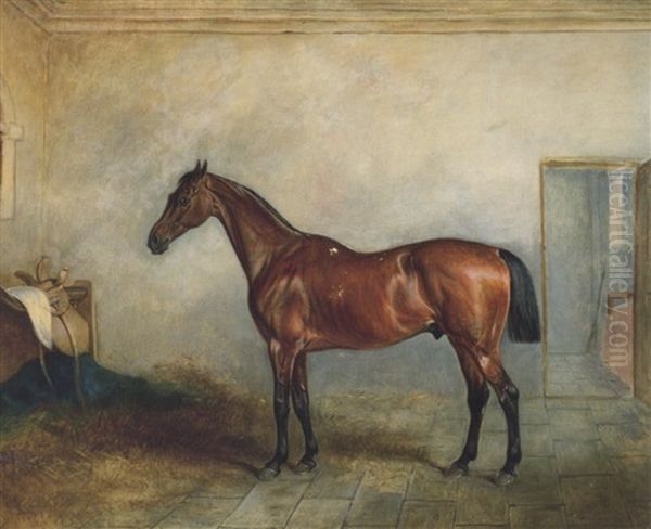 Lady Middleton's Benedict In A Stable Oil Painting by John E. Ferneley