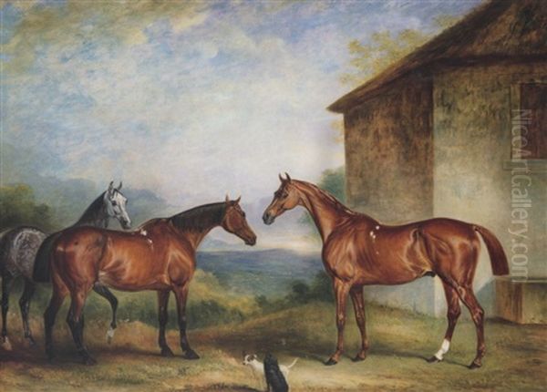 Three Hunters Belonging To John Sidebottom, Esq Oil Painting by John E. Ferneley